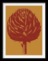 Artichoke 15 Fine Art Print