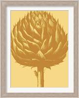 Artichoke 19 Fine Art Print