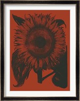 Sunflower 9 Fine Art Print