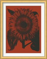 Sunflower 9 Fine Art Print
