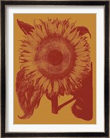 Sunflower 15 Fine Art Print