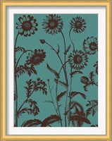 Chrysanthemum 5 Fine Art Print