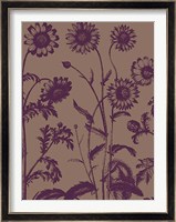 Chrysanthemum 14 Fine Art Print
