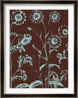 Chrysanthemum 17 Fine Art Print