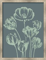 Tulip 7 Fine Art Print