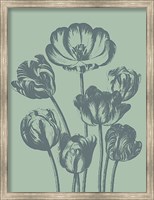 Tulip 8 Fine Art Print