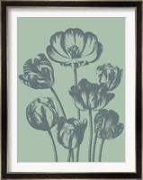 Tulip 8 Fine Art Print