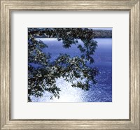 Silver Light Fine Art Print