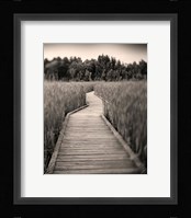 Towards Woods Fine Art Print