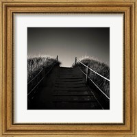 Up and Down Fine Art Print