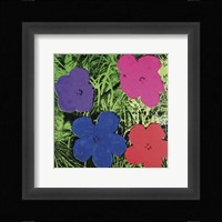 Flowers, c. 1964 (1 purple, 1 blue, 1 pink, 1 red) Fine Art Print