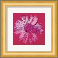 Daisy, c. 1982 (crimson and pink) Fine Art Print