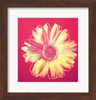 Daisy, c.1982 (fuchsia & yellow) Fine Art Print