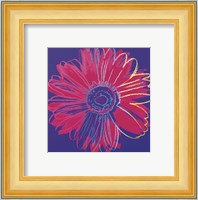 Daisy, c.1982 (blue & red) Fine Art Print