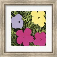 Flowers, 1970 (1 purple, 1 yellow, 2 pink) Fine Art Print