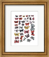 Butterflies, 1955  (many/varied colors) Fine Art Print