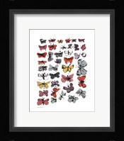 Butterflies, 1955  (many/varied colors) Fine Art Print