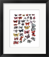 Butterflies, 1955  (many/varied colors) Fine Art Print