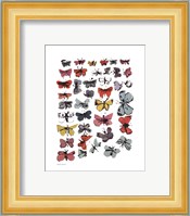 Butterflies, 1955  (many/varied colors) Fine Art Print