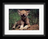 Simple Pleasures Fine Art Print