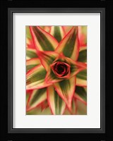 Bronx 1959 Fine Art Print