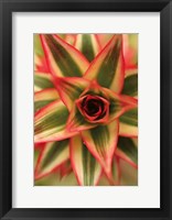 Bronx 1959 Fine Art Print