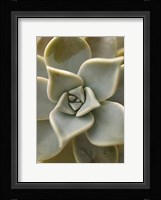 Bronx 1921 Fine Art Print