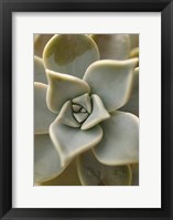 Bronx 1921 Fine Art Print