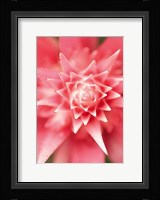 Bronx 1930 Fine Art Print