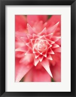 Bronx 1930 Fine Art Print