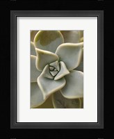 Bronx 1921 Fine Art Print