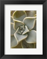 Bronx 1921 Fine Art Print