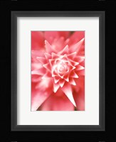 Bronx 1930 Fine Art Print