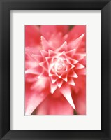 Bronx 1930 Fine Art Print