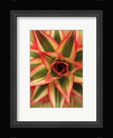 Bronx 1959 Fine Art Print