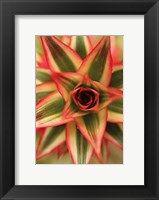 Bronx 1959 Fine Art Print