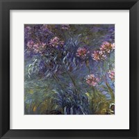 Jewelry lilies Framed Print