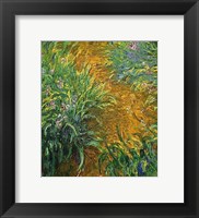 The Path in the Iris Garden Fine Art Print