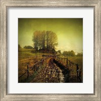 Another Place Fine Art Print
