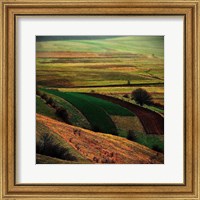 Transylvania Fine Art Print