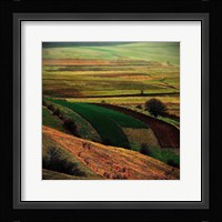 Transylvania Fine Art Print