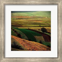 Transylvania Fine Art Print