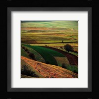 Transylvania Fine Art Print