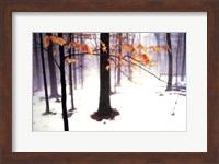 Quiet Woods Fine Art Print