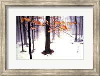 Quiet Woods Fine Art Print