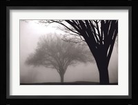 Memories of Winter Fine Art Print