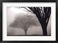 Memories of Winter Fine Art Print