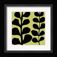Black Fern on Green Framed Print