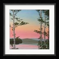 Cooper Sunset Birches Fine Art Print