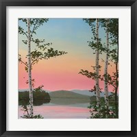 Cooper Sunset Birches Framed Print